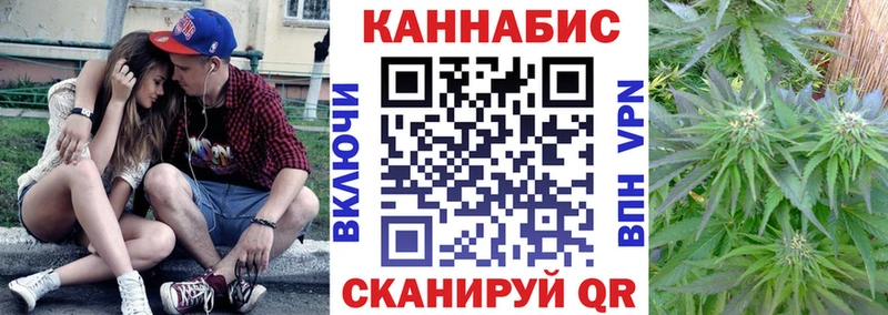 Сколько стоит Нолинск Alpha-PVP 