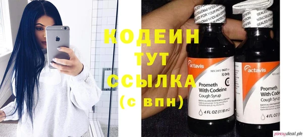 spice Богданович