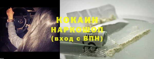 бошки Новодвинск
