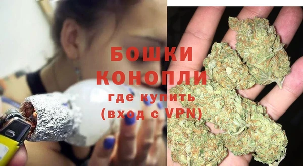 дживик Богородск