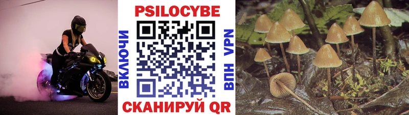 где можно купить наркотик  Нолинск  darknet формула  Галлюциногенные грибы мухоморы 